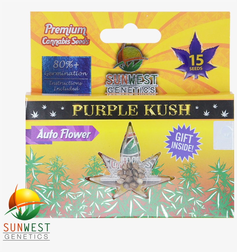 Purple Kush Wholesale Cannabis Seeds - Kush, transparent png download