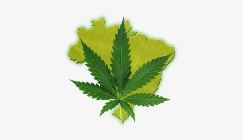Legalize Brasil - Planta De La Droga, transparent png download