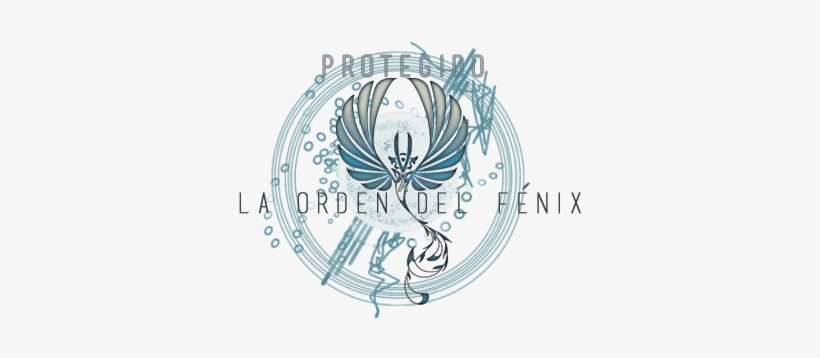 Za4cykq - Circle, transparent png download