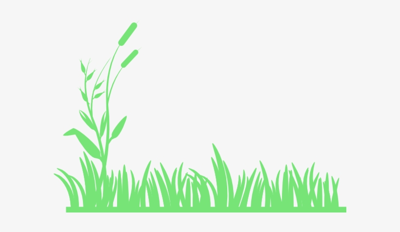 Meadow Clipart, transparent png download