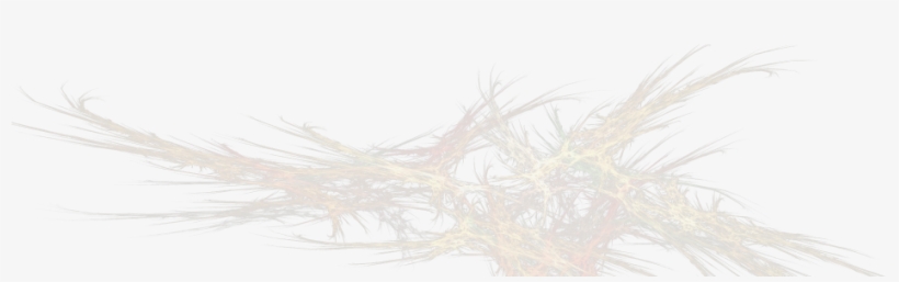 Fractal Png Image - Sketch, transparent png download