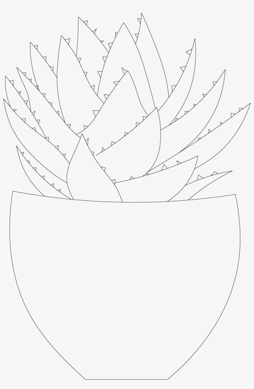 Plant Front, transparent png download