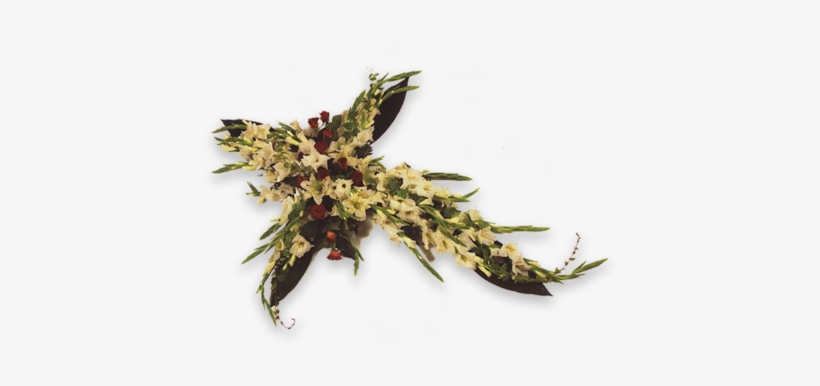 Formatos Especiales Para Difuntos - Tanatorio M-30, transparent png download