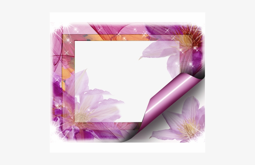 Your Photo Photo Frame - Picture Frame, transparent png download