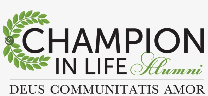 Champion In Life Alumni-01 - Amanda Fondell All This Way, transparent png download