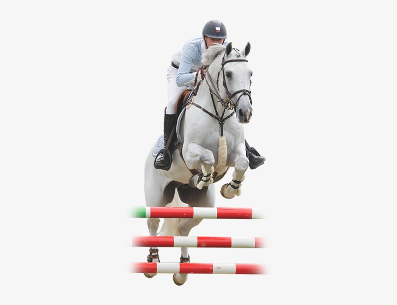 And, It Creates An Unparalleled Environment For The - Horse, transparent png download