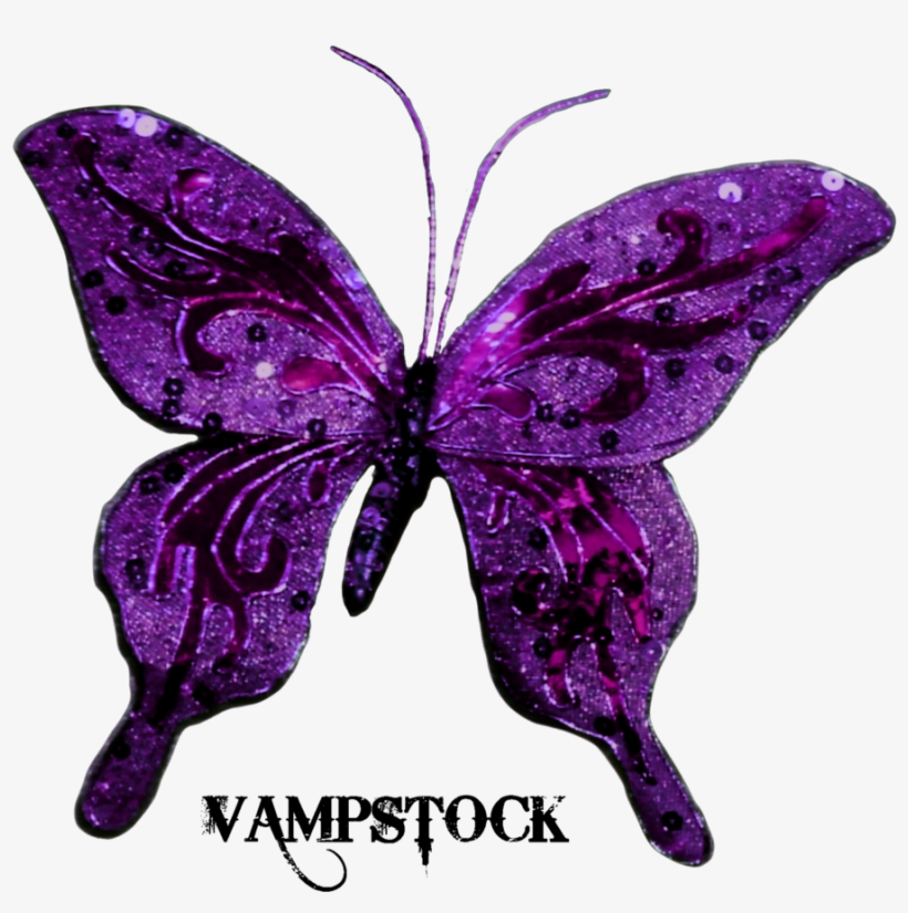 Glitter Butterfly Png Vampstock By Vampstock - Love My Family Background, transparent png download