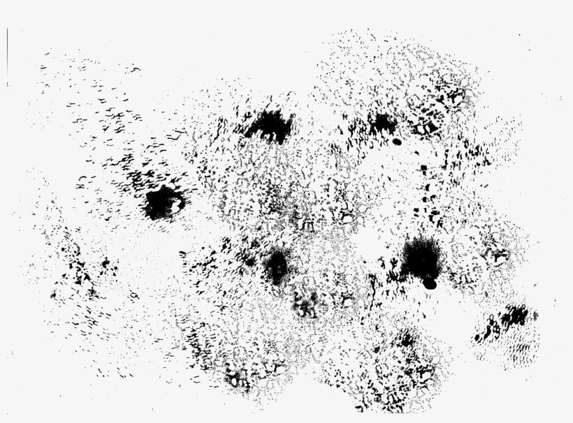 12 Grunge Overlay Texture Vol - Portable Network Graphics, transparent png download