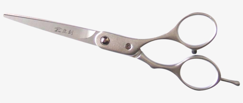 Hair Care, transparent png download