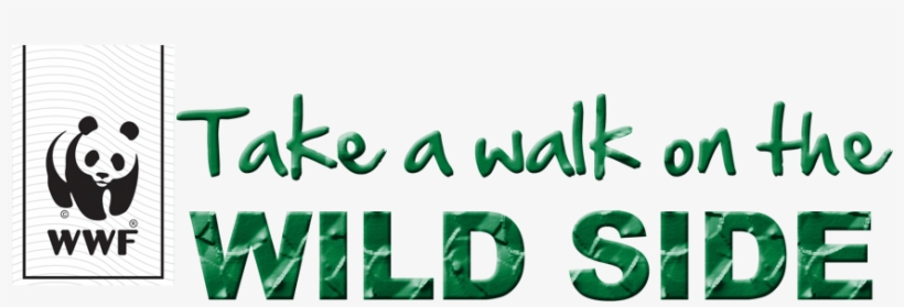 Win A Darth Maul Lightsaber - Wwf Congo Basin Chess, transparent png download