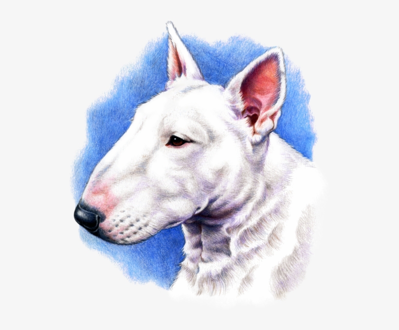 Dog Fabric, Bull Terrier Fabric, Custom Print Fabric, transparent png download