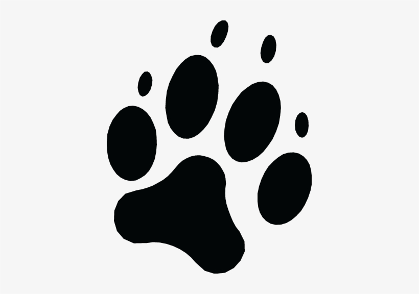 In 2017 The Government Made Funds Available To Have - Dog, transparent png download
