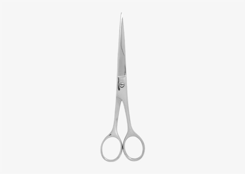 Stainless Steel, transparent png download