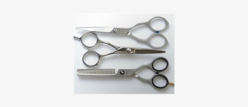 Professional Barber Scissors On White Poster • Pixers® - Scissors, transparent png download
