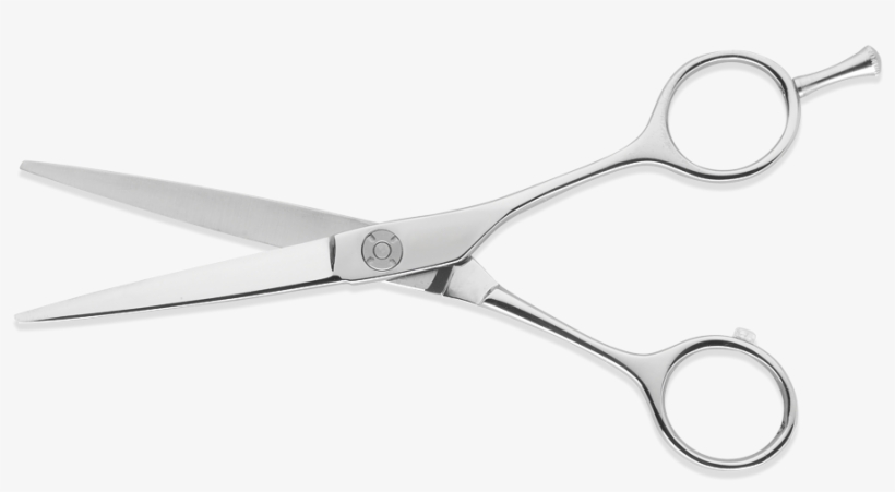 Scissor Anatomics - Scissors, transparent png download