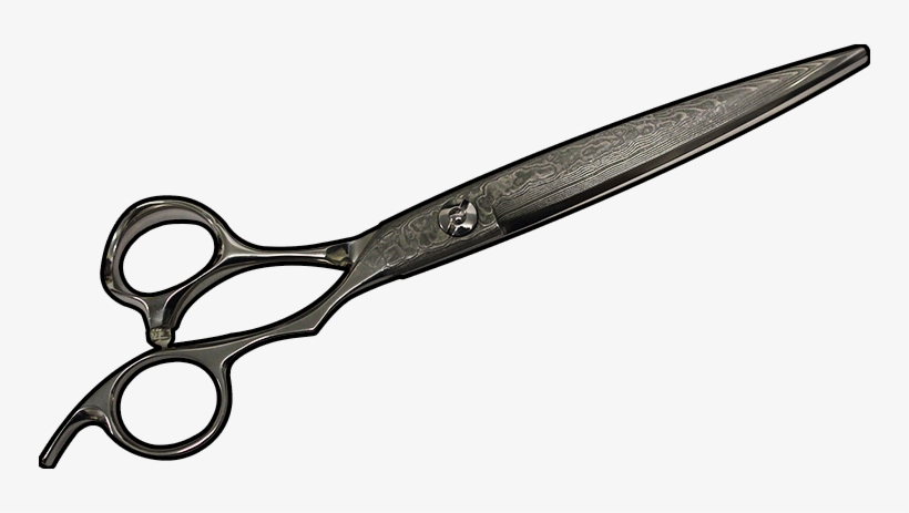 We Are On Sale - Scissors, transparent png download