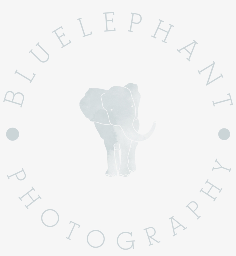 Be Watermark Reduced Opacity-02 - Emblem, transparent png download