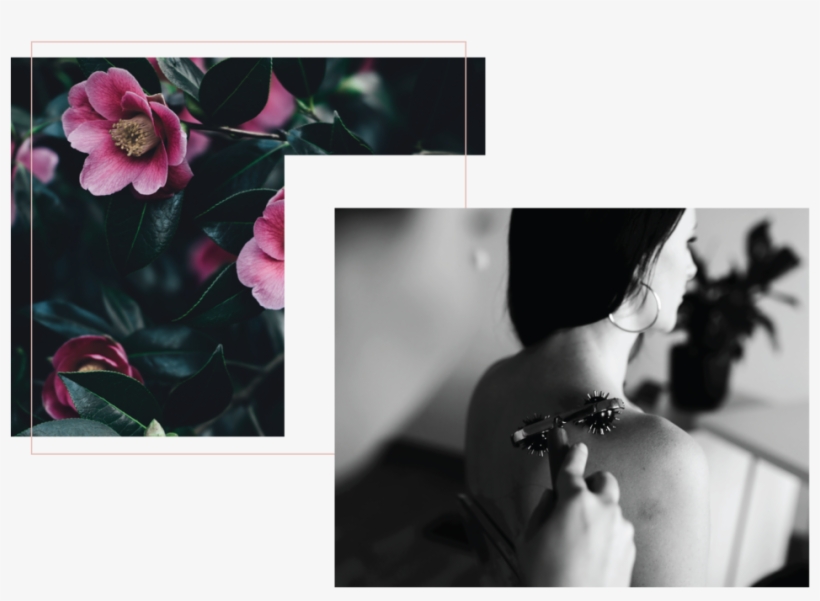 Bobe Beauty Saskatoon Disclaimer - Essential Neruda: Selected Poems [book], transparent png download