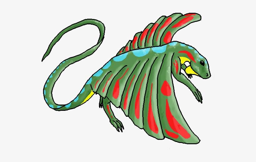 Svg Transparent Draco Volans By Monddrachin On Deviantart - Drawings Of Draco Lizard, transparent png download