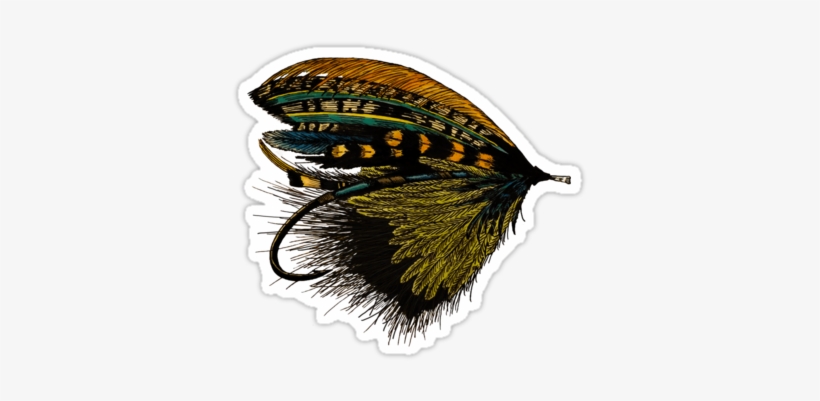 Steelhead Fly, Inspired By The Rivers Of British Columbia - T-shirt, transparent png download