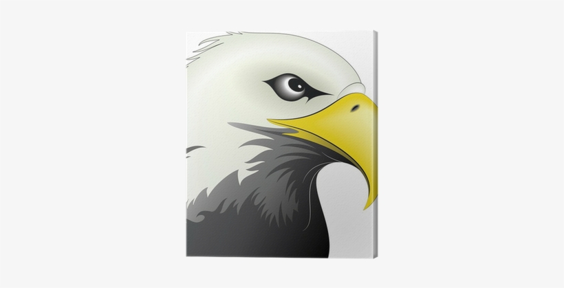 Eagle Face, transparent png download