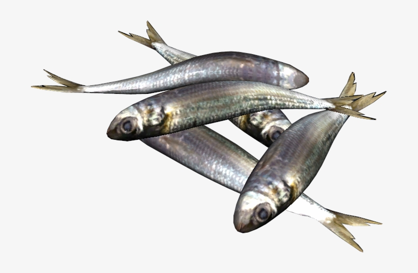 Sardines Fish Png, transparent png download