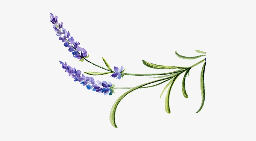 Dolly Dew Drops - Dew, transparent png download