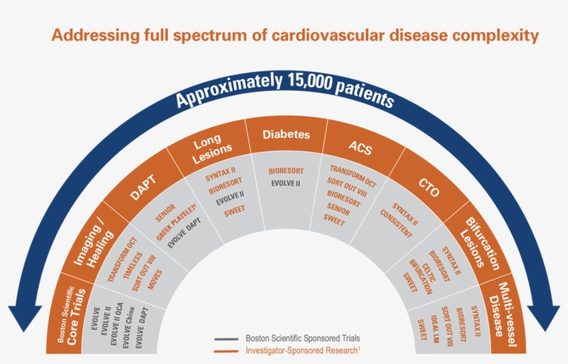 Addressing Full Spectrum Of Cardiovascular Disease - Spectrum Of Cardiovascular Disease, transparent png download