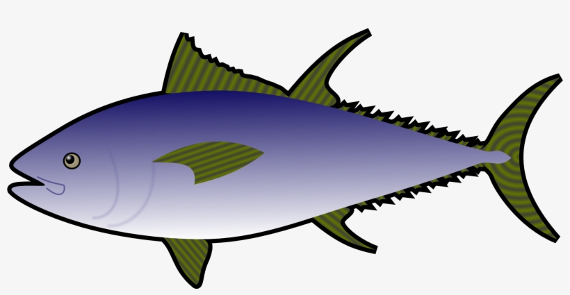 Sardines Clipart Atlantic - Tuna Clipart, transparent png download