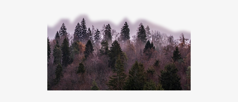 Level1-494x904 - Sulle Tracce Dell'inganno, transparent png download