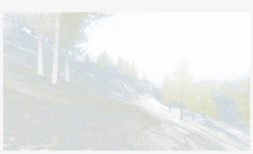 Img - Shortleaf Black Spruce, transparent png download