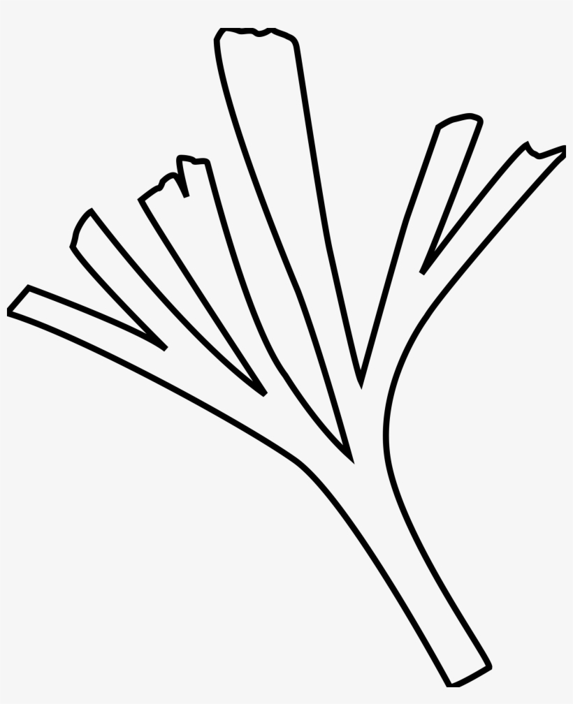 This Free Icons Png Design Of Baiera, transparent png download