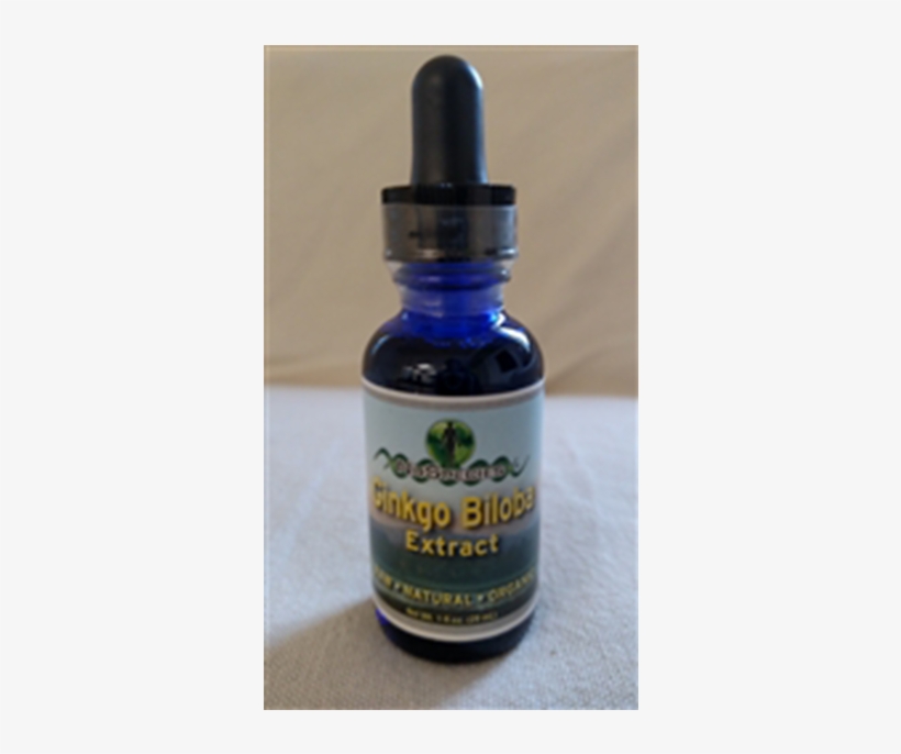 Ginkgo Biloba Extract - Fruit, transparent png download