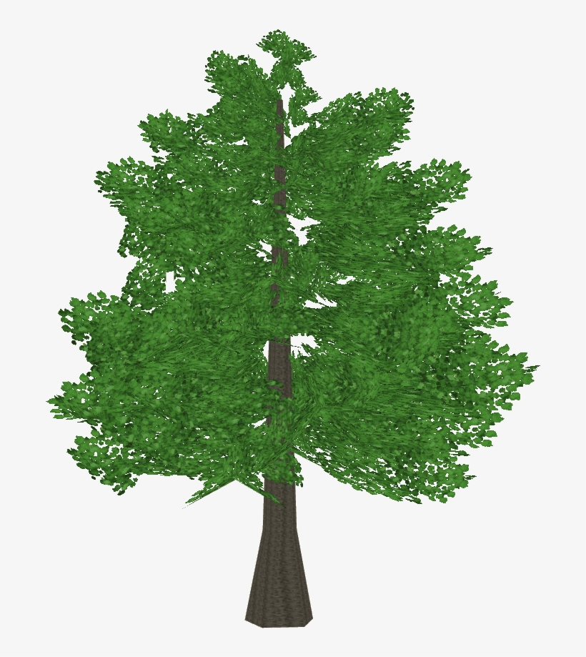 Christmas Tree, transparent png download