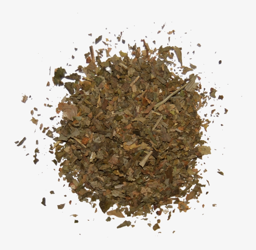 Ginkgo Biloba - Central Market, transparent png download