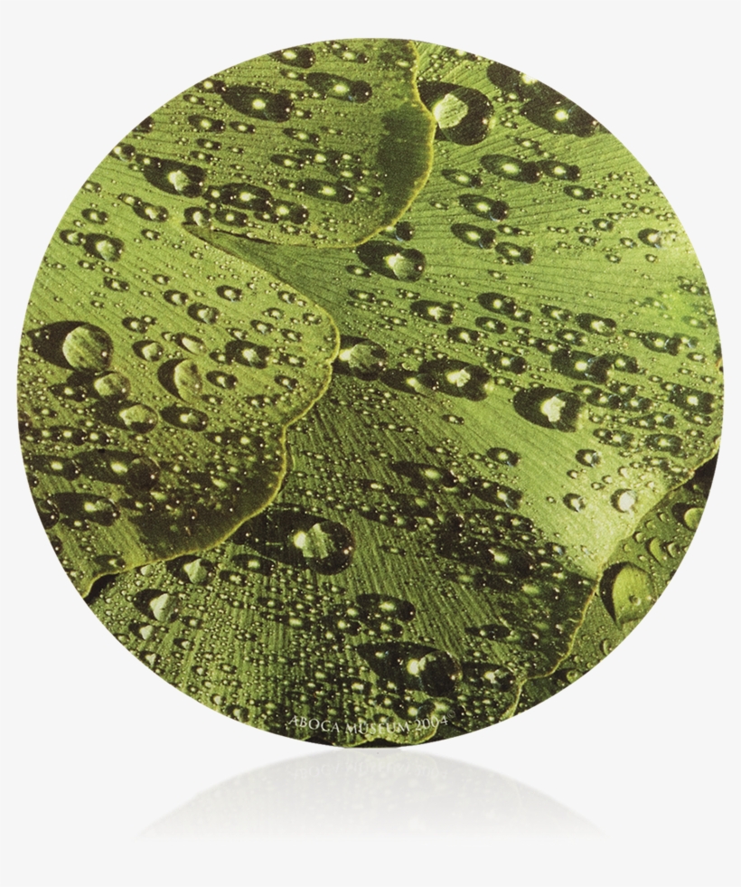 Ginkgo Mouse Pad - Circle, transparent png download
