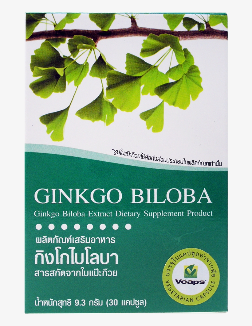 Products Name - Maidenhair Tree, transparent png download