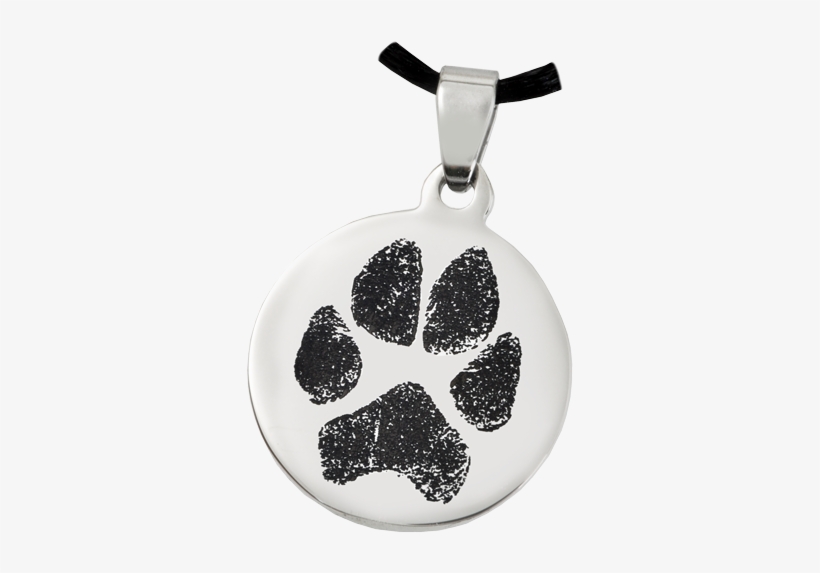 Dog Actual Dog Paw Print, transparent png download