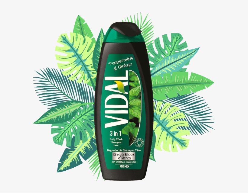 3 In 1 Formula - Frames Tropical Leaves, transparent png download