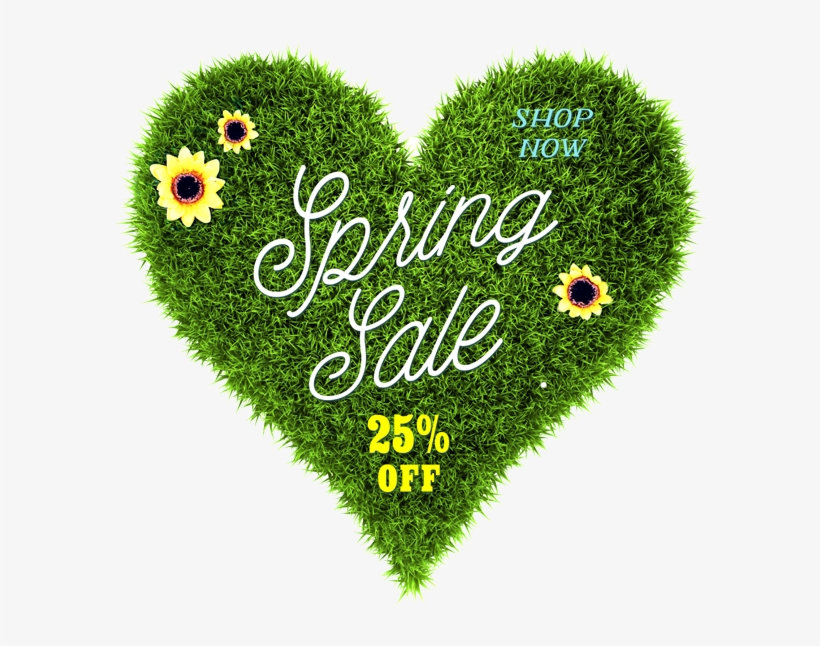 Lawn, transparent png download