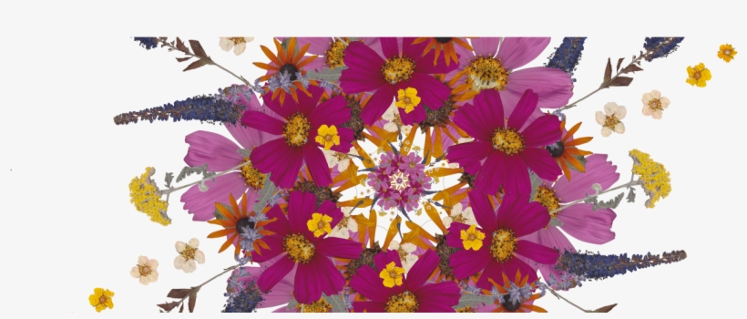 Home » Home » Fresh Flower Mandala - Mandala, transparent png download