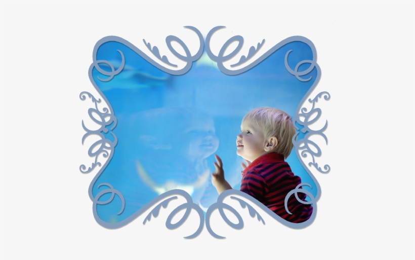 Fun And Free Things To Do With Baby In North Texas - Infant, transparent png download