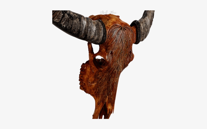 Carved Buffalo Skull - Skull, transparent png download