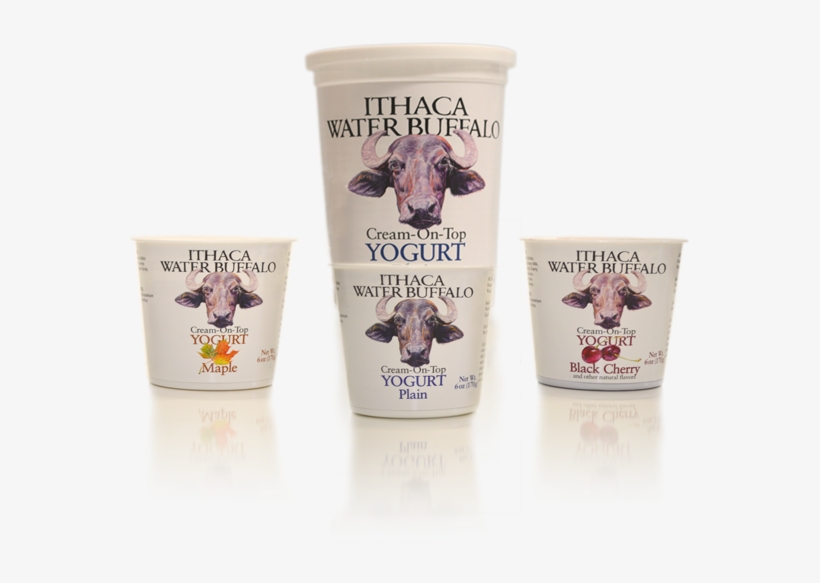 Greek Yogurt - - Buffalo Yogurt, transparent png download