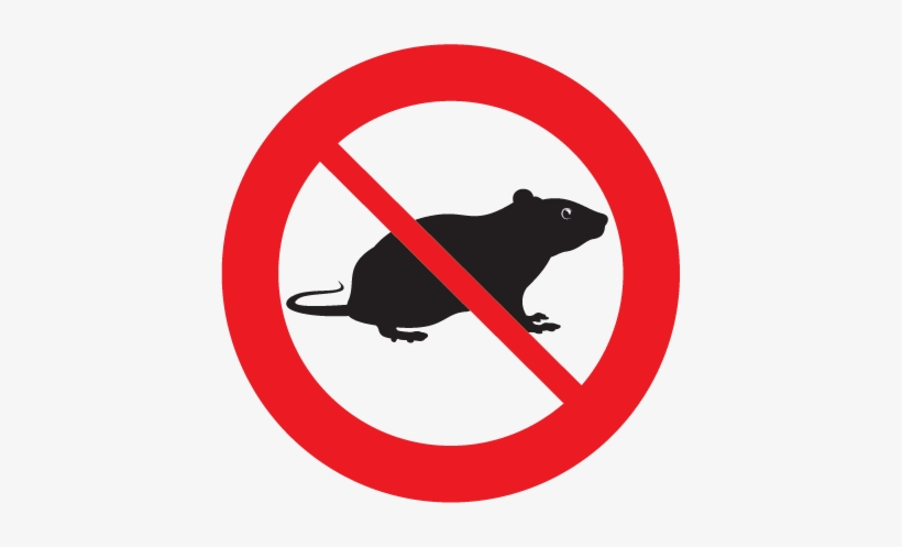 Rats And Mice Spread Disease, Cause Foul Odours, And - Rats Pest Control, transparent png download