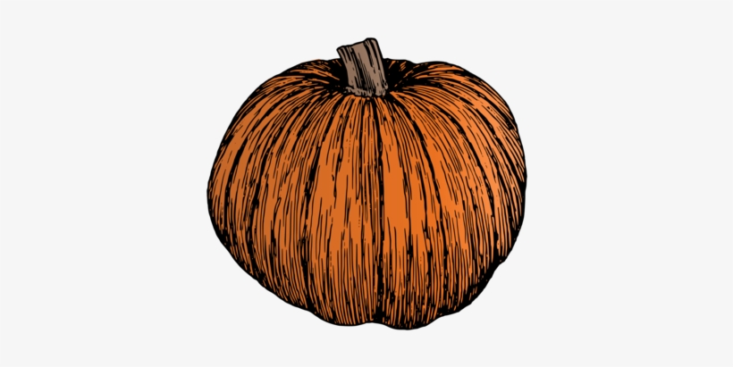 Calabaza Pumpkin Vegetarian Cuisine Drawing Line Art - Pumpkin Line Art Ornament (oval), transparent png download