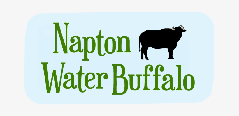 Water Buffalo Napton, transparent png download