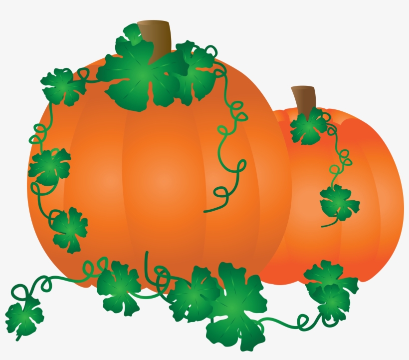 Drawing Of Orange Pumpkin With Green Leaves, transparent png download