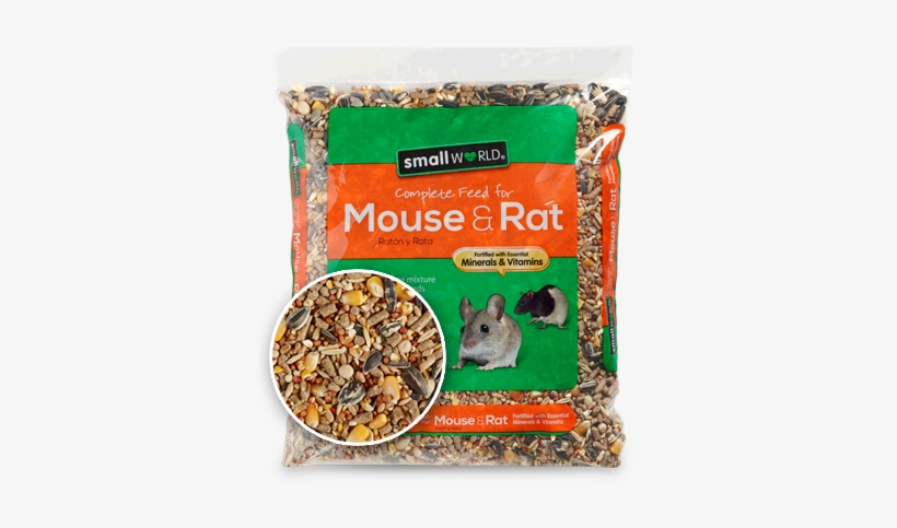 Big Reasons To Give Your Family Pet Small World Mouse - Rat, transparent png download
