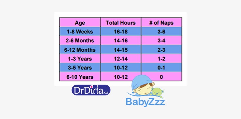 Babyzzz Table 1a - Sleep Patterns For Babies, transparent png download